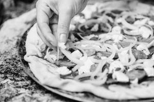 Onion and Cheese Pizza