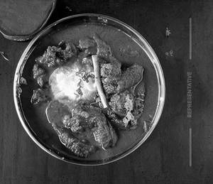 Mutton Rogan Josh