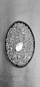 Sabudana Khichdi [small]