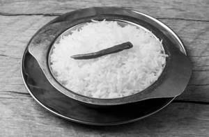 Rice         