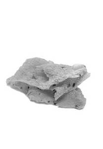 Masala Papad