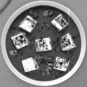 Paneer Mahraja