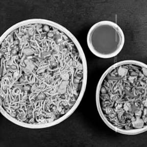 Mixed Fried Rice & Noodles Double Egg