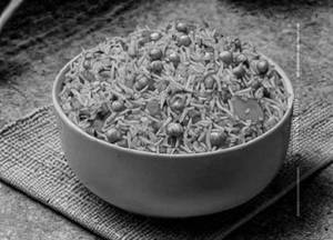 Veg schezwan fried rice