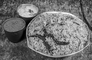 Tamarind Rice