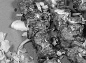 Sikari Chicken Kebab