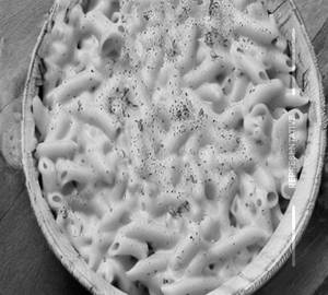 Cheese Macaroni 