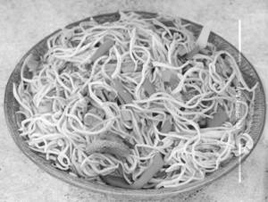 Veg Panner Soft Noodles