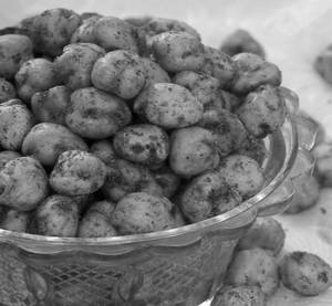 Fried Kabuli Channa Masala (200gms)
