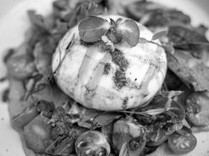 Fresh Burrata Salad