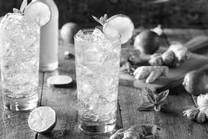 Ginger Lemon Soda