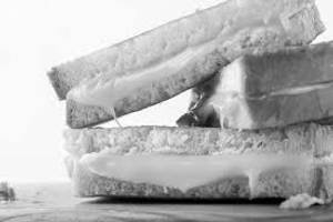 Cheese Sandwich