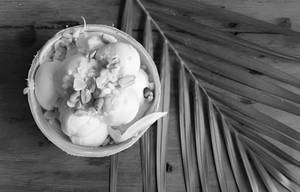 Milk And Nuts Ice Cream