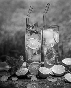 Minty Mojito