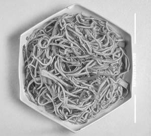 Singapuri Noodles