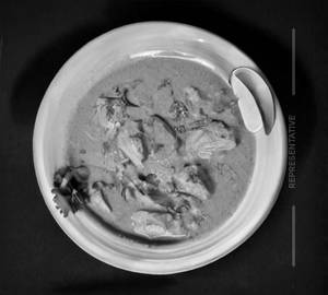 Chicken Korma (Plate)