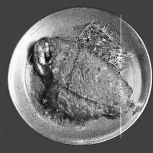 Tawa Fish