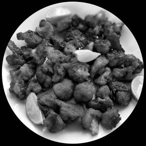 Gobi 65
