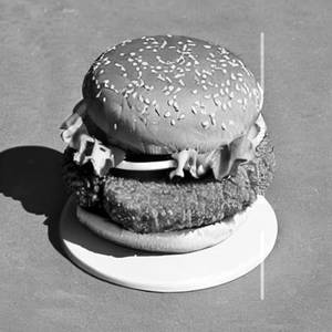 Spicy Chicken Burger [ Regular ]