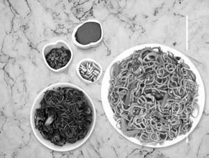 Veg Triple Noodles