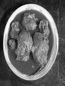 Chicken in Hot Garlic Gravy