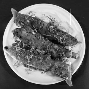 Fish Burani