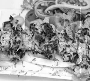 Chicken Reshmi Kebab