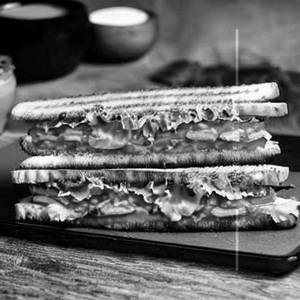 Veg Grill Sandwich