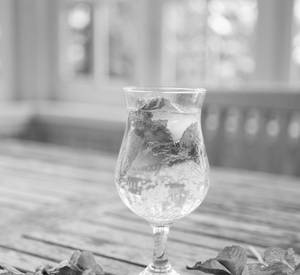 Mint Mojito