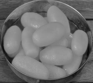 Paneer jamoon ( 100g )