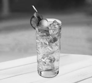 Mint Lime Mojito