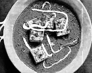 Shahi Paneer