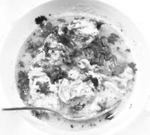 Dhaniwal Korma