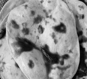 Tandoori Butter Roti