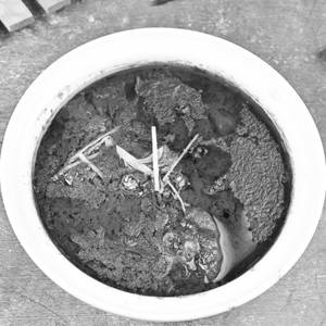 Mutton Nihari (Full)
