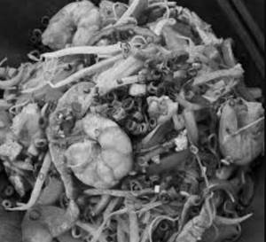 Mixed Singapore Noodles
