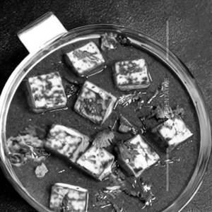 Paneer Khurhan
