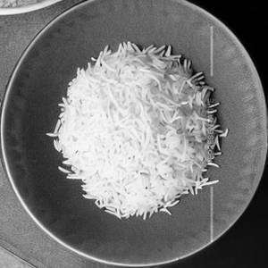 Steamed basmati rice