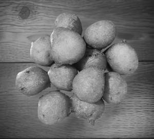 Punugulu