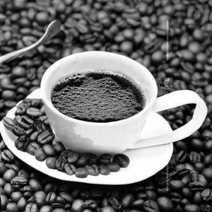 Coffee Fiest