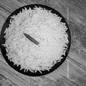 Plain Rice