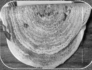 Onion Sadha Dosa
