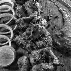 Captain's Special Seekh Kebab (josh)