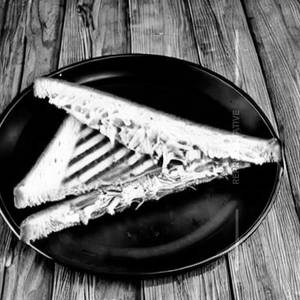 Grilled Chicken Cheese Sandwich