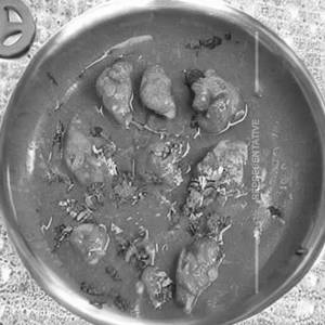 Chicken Oyster Scuce Gravy
