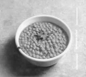 Plain Dal Arhar