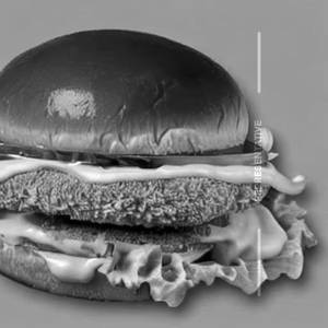 Chicken Cheese Burger                        