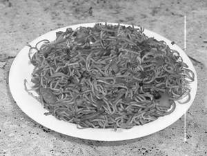 Schezwan Noodles