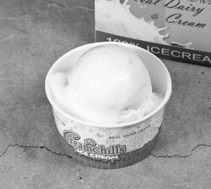 French Vanilla Family Pack Icecream