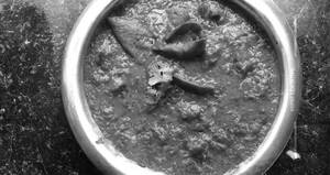 Plain Tadka